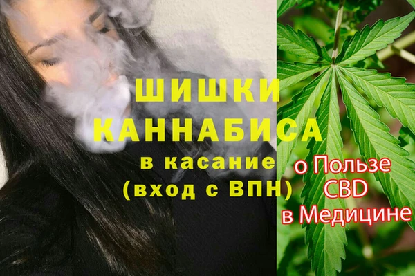 прущие грибы Верхний Тагил