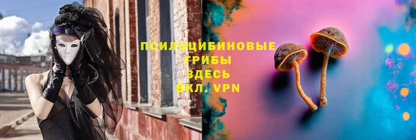ешки Волоколамск