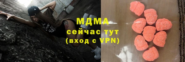 прущие грибы Верхний Тагил