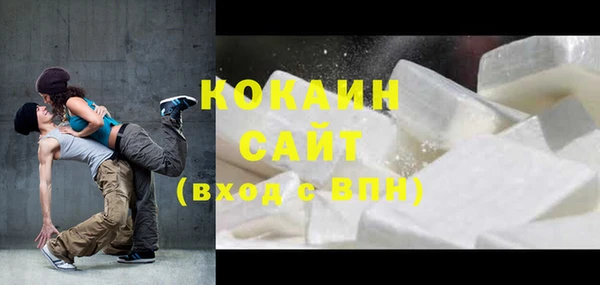 прущие грибы Верхний Тагил