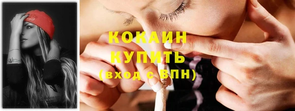 прущие грибы Верхний Тагил