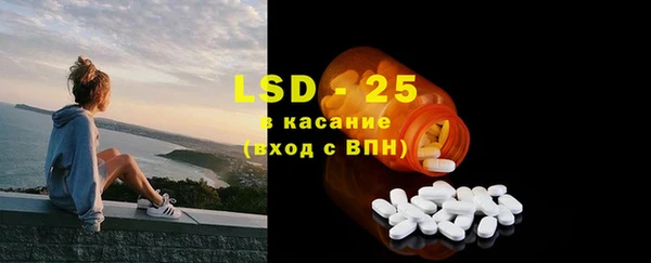 прущие грибы Верхний Тагил
