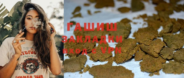 прущие грибы Верхний Тагил