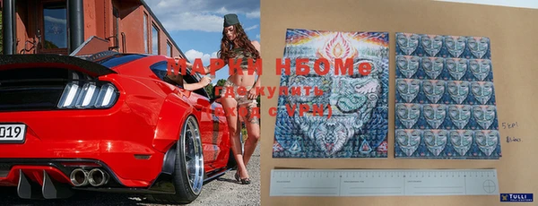 прущие грибы Верхний Тагил