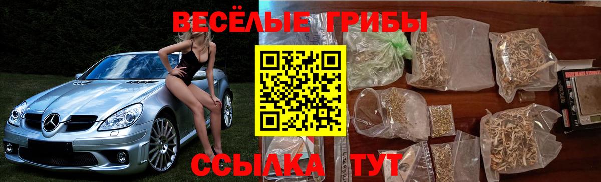 Псилоцибиновые грибы Cubensis Воткинск